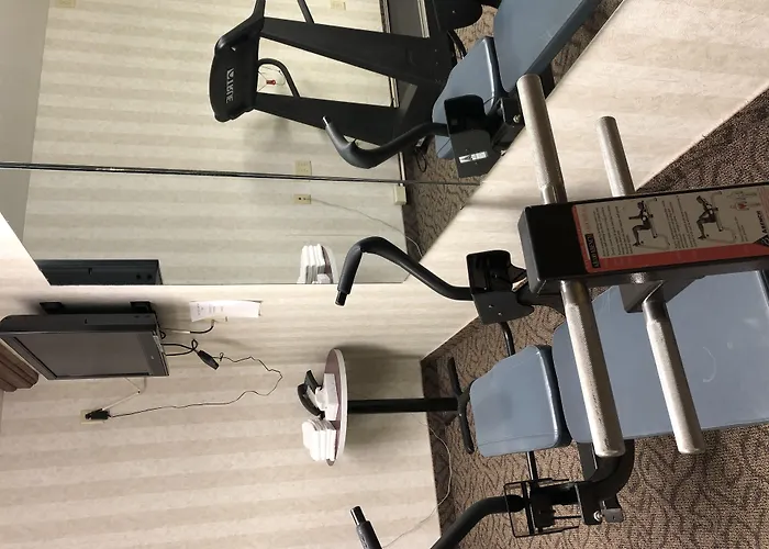 Ramada By Wyndham Saginaw Hotel & Suites